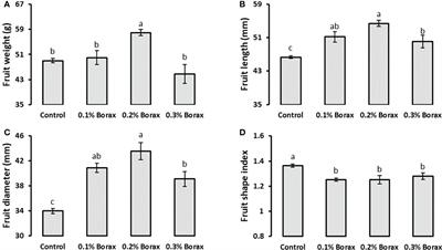 Sugar and acid profile of loquat (Eriobotrya japonica Lindl.), enzymes assay and expression profiling of their metabolism-related genes as influenced by exogenously applied boron
